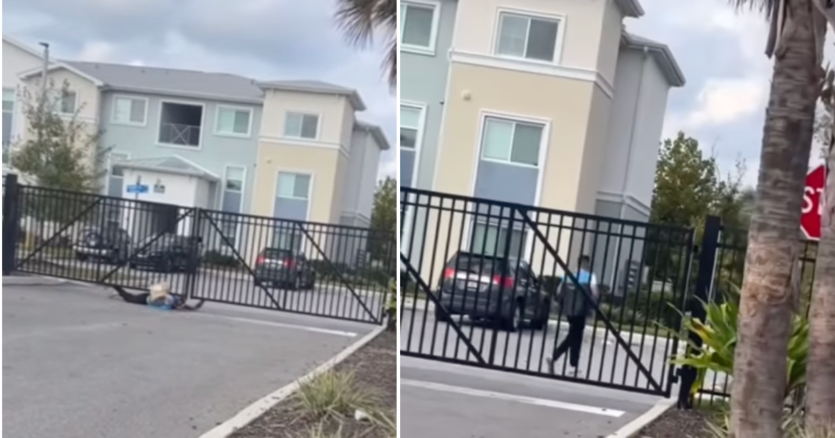 Cuban went viral for doing the impossible to deliver an Amazon package on time